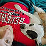 Patches is registered to the contest to win money with this photo: black_spots, blanket, casual, closeup, comfort, companion, cuddling, dog, friendship, human_animal_bond, indoor, lying_down, person, pet, red_shirt, relaxation, resting, sleepy, tattoo, white_dog