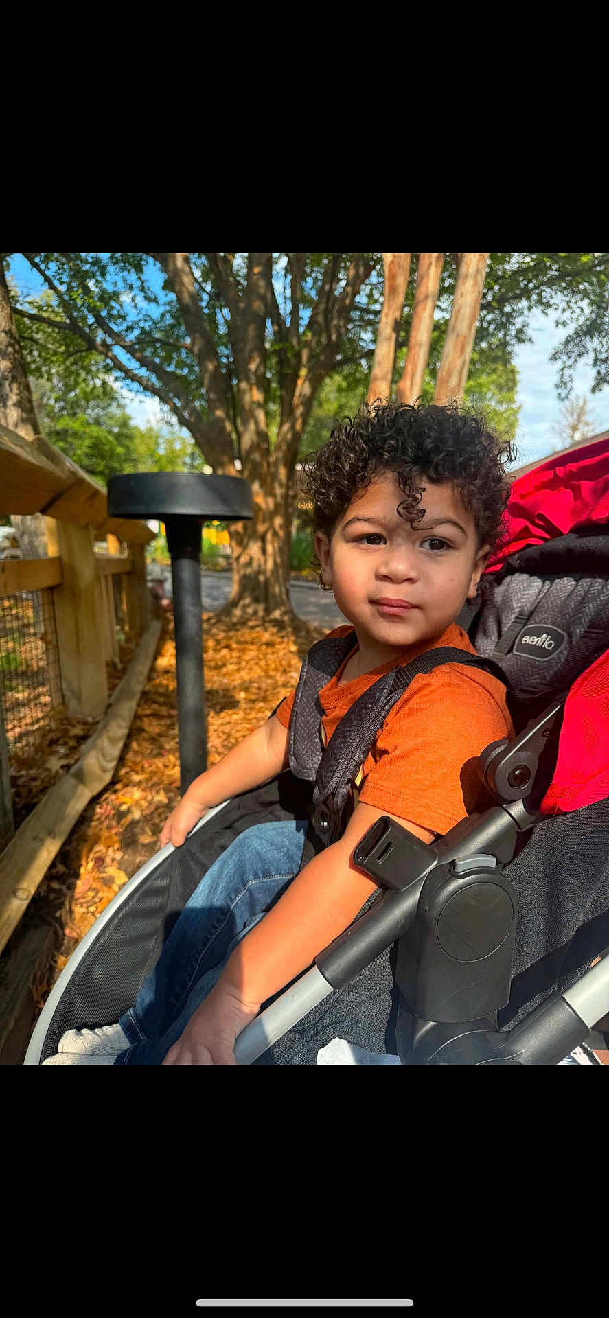 Clarence is registered to the contest to win money with this photo: boy, child, clothing, face, grass, gun, head, male, nature, outdoors, park, person, photography, plant, playarea, portrait, stroller, tree, vegetation, weapon