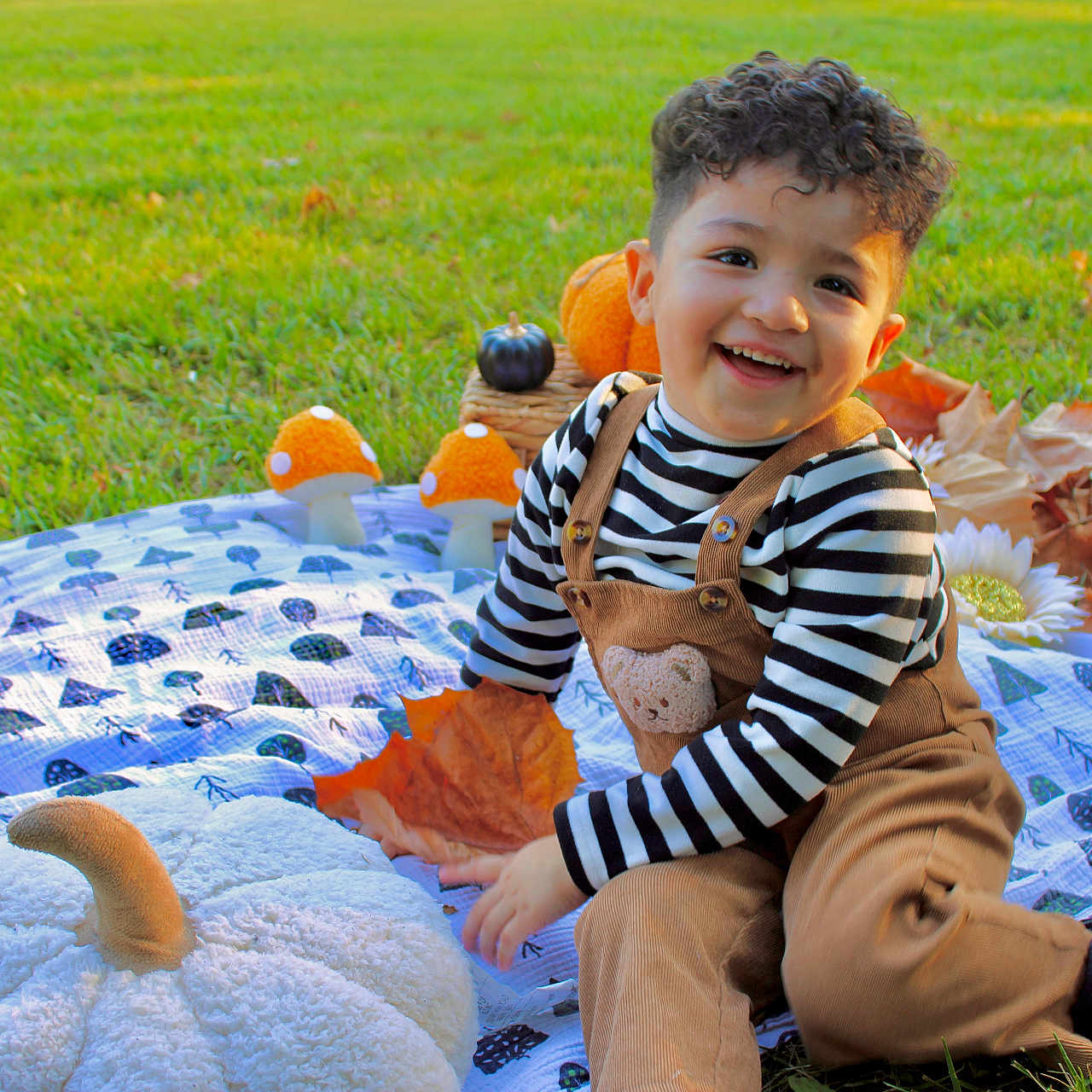 Jacob Molina joined the competition — help win amazing prizes! autumn, black_shoes, blanket, child, curly_hair, fall, grass, happy, leaves, nature, outdoor, overalls, playful, plush_toy, portrait, pumpkin, smiling, striped_shirt, toddler, toy_mushrooms