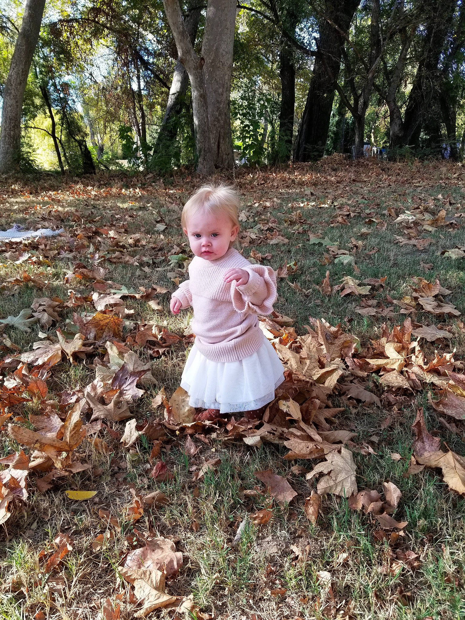 Adele is registered to the contest to win money with this photo: