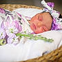 Riley is registered to the contest to win money with this photo: newborn, baby, sleeping, blanket, headband, floral, basket, flower, peaceful, infant, wrapped, soft, cute, portrait, resting, closeup, child, adorable, cozy, toddler