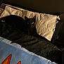 cat, black_cat, bed, pillow, indoor, pet, animal, resting, cozy, feline, cute, relaxed, looking, dark, furniture, home, sleepy, domestic_animal, mammal, cute_pet