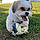 Toby
