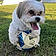 Toby