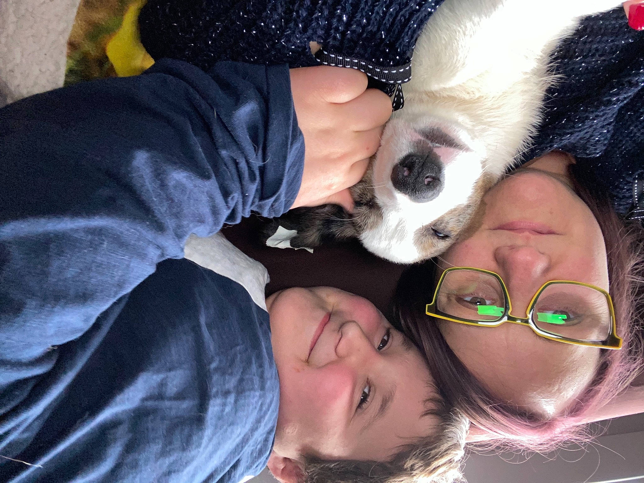 Rogue a rejoint le concours — aidez-le/la à gagner de superbes lots ! carnivore, cool, dog, dog_breed, facial_expression, friendship, happy, human, interaction, love, nail, non_sporting_group, organ, puppy, puppy_love, selfie, tongue, working_animal