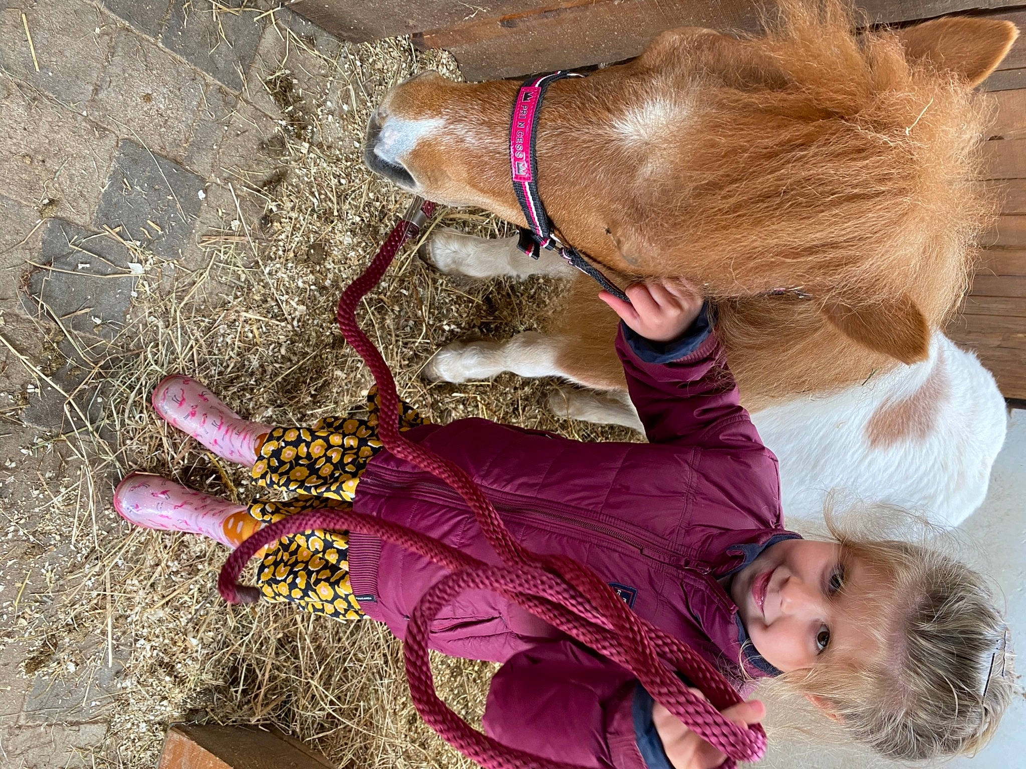Clelia a rejoint le concours — aidez-le/la à gagner de superbes lots ! baby, child, companion_dog, dog_breed, fashion_accessory, fawn, foot, fun, fur, grass, jewellery, joy, leash, liver, magenta, pattern, person, pink, soil, sunglasses