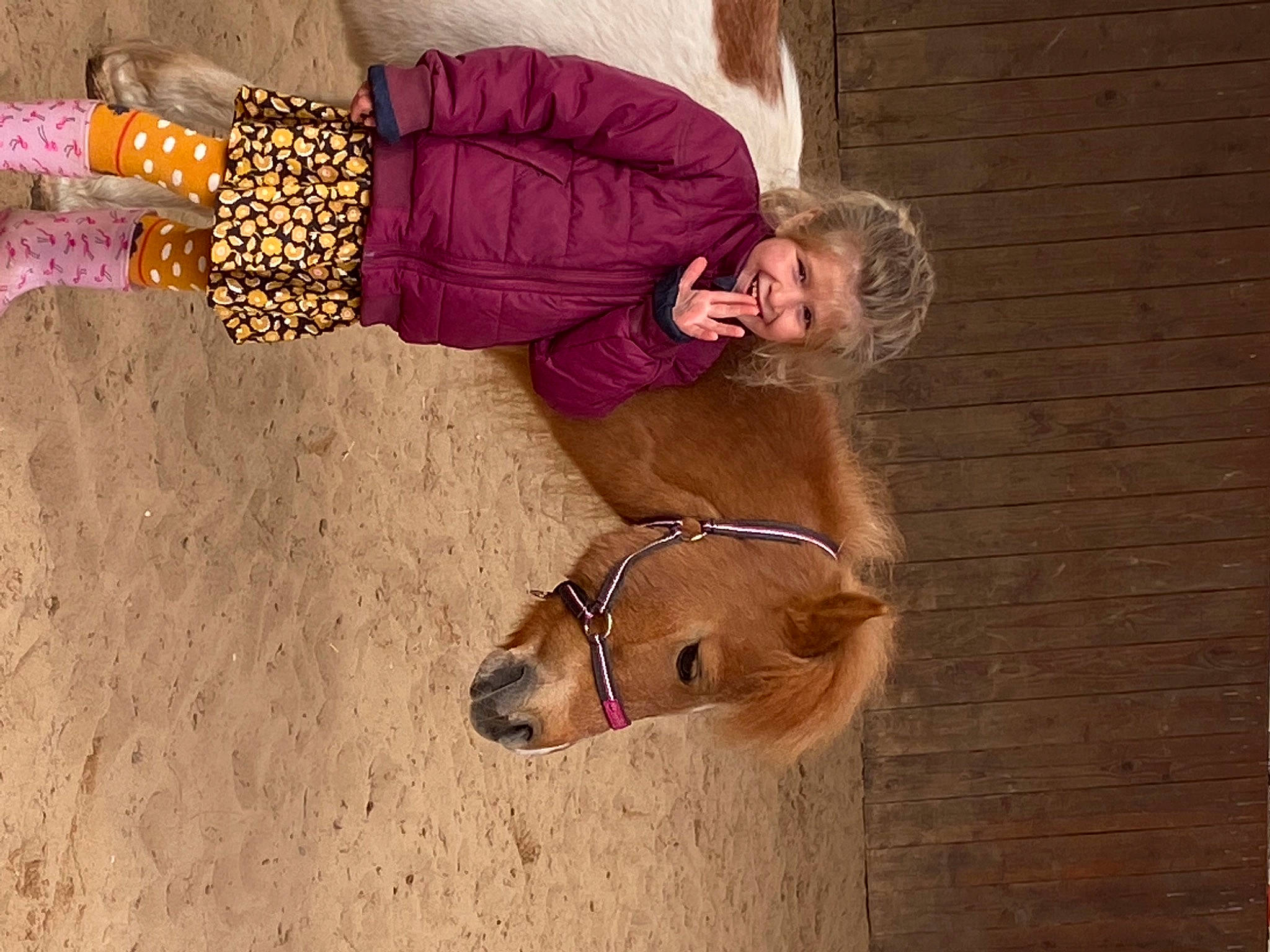 Clelia participe au concours pour gagner de l'argent avec cette photo : bovine, bridle, companion_dog, dairy_cow, dog_breed, eyewear, fashion_accessory, fawn, fun, fur, glasses, happy, horse_tack, human_body, human_leg, joy, landscape, livestock, person, sunglasses