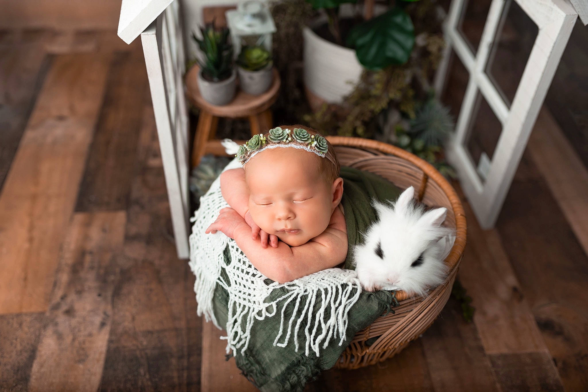 Everleigh Olevia Garcia joined the competition — help win amazing prizes! baby, baby_toddler_clothing, basket, cat, companion_dog, dress, eye, face, fawn, felidae, flooring, flowerpot, happy, hardwood, head, houseplant, person, plant, rabbit, toddler