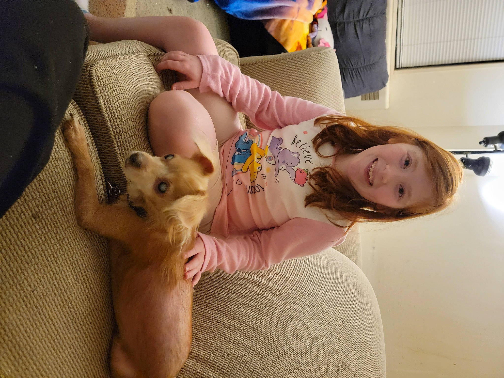 Princess is registered to the contest to win money with this photo: abdomen, carnivore, chest, comfort, companion_dog, couch, dog_breed, eyelash, fawn, finger, hand, happy, skin, smile, sunglasses, thigh, toy, toy_dog, trunk, whiskers