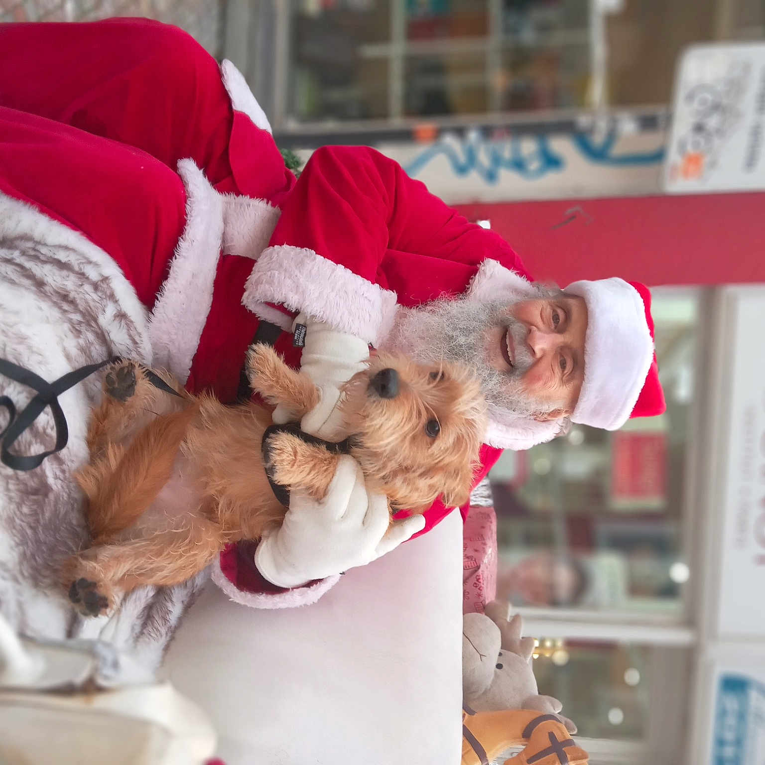 Ulysse