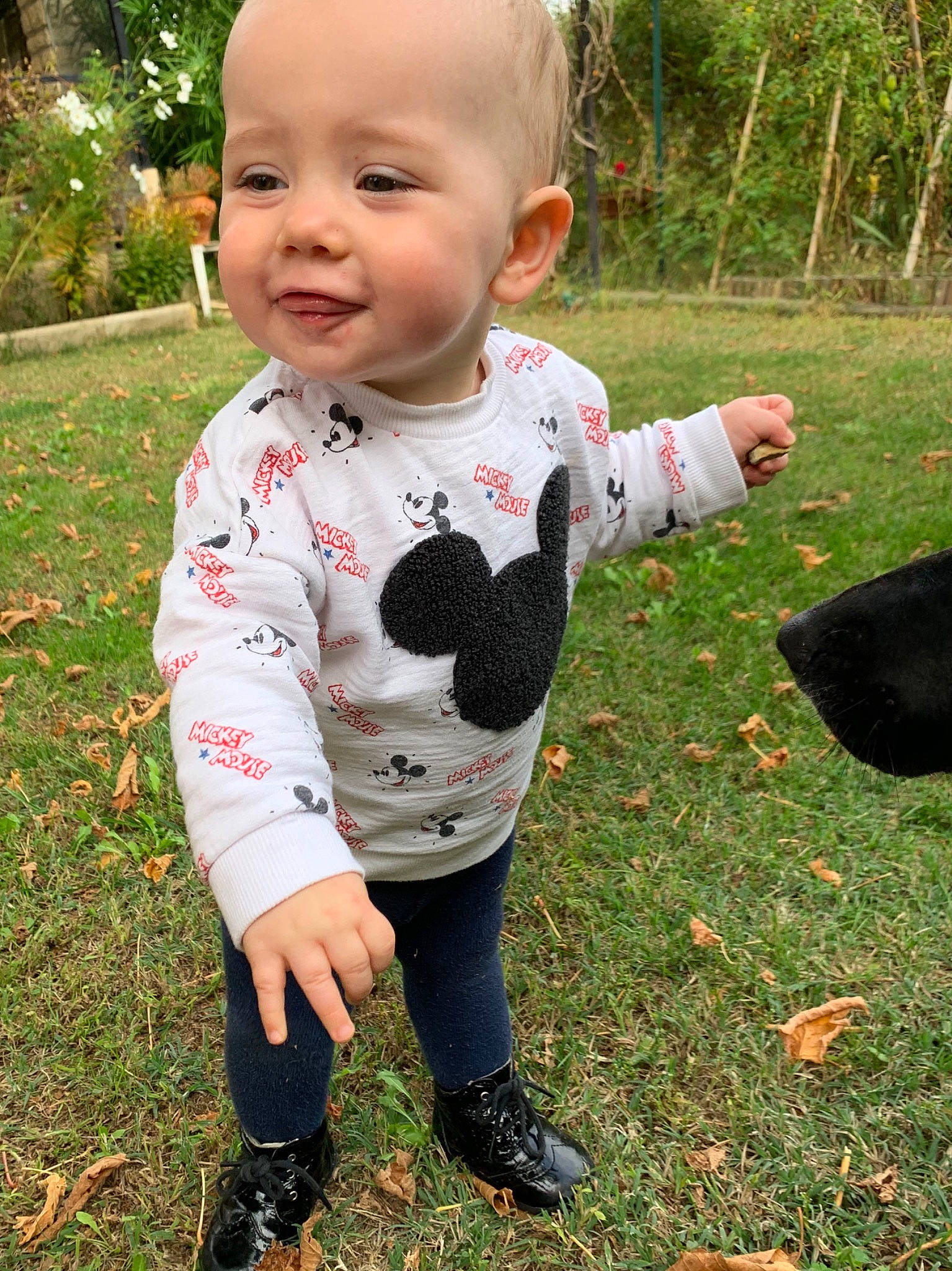 Lola participe au concours pour gagner de l'argent avec cette photo : baby, baby_toddler_clothing, child, grass, leaf, outerwear, pattern, person, plant, play, sleeve, toddler