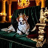 brown_fur, chandelier, crown, dog, dramatic_lighting, fluffy, furniture, gold, interior, luxury, ornate, palace, portrait, regal, royal, seated, small_dog, throne, velvet, white_fur