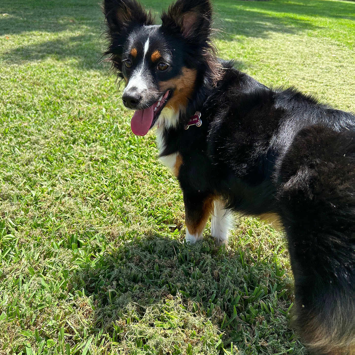 Lady Mae