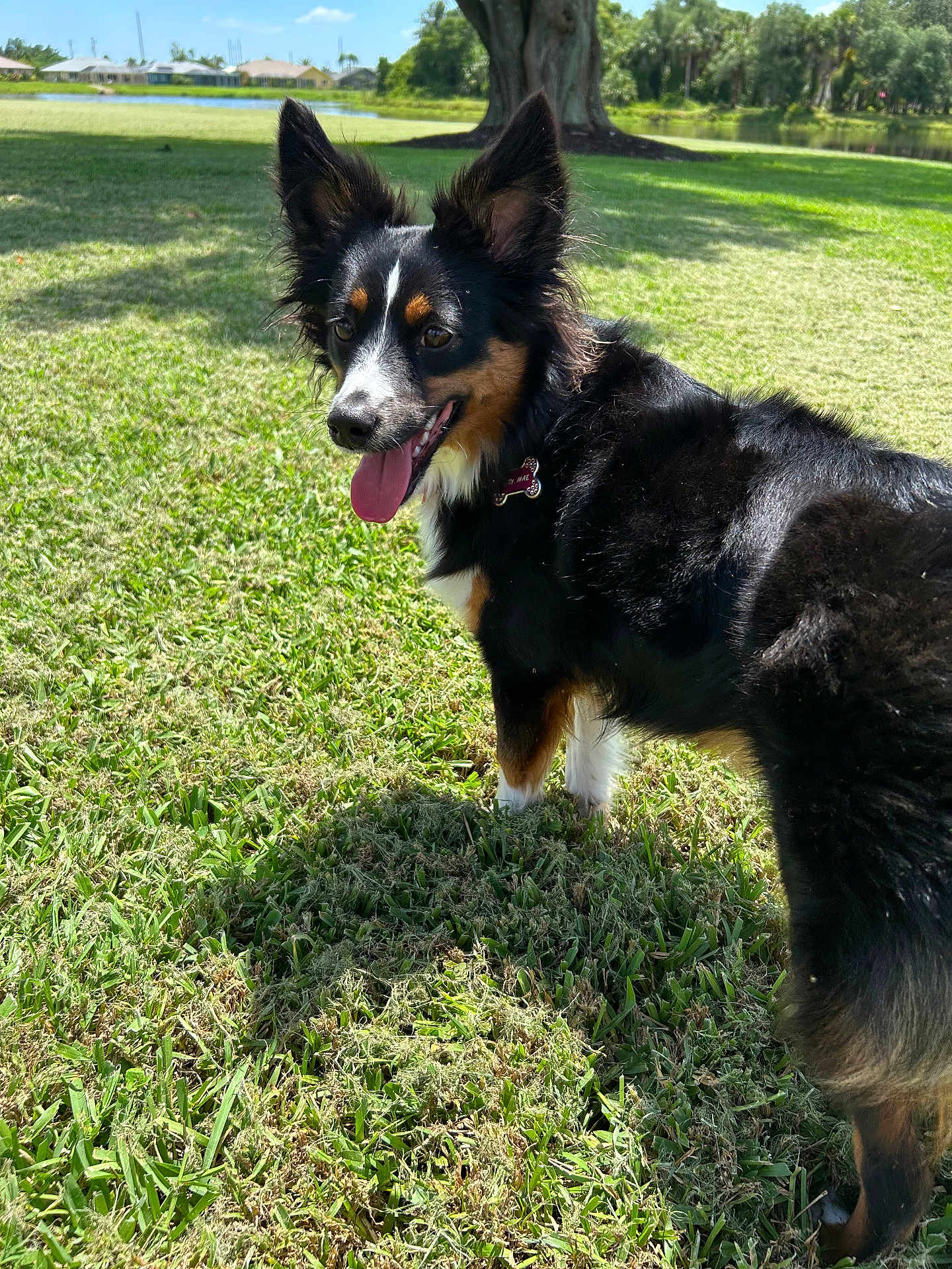 Lady Mae