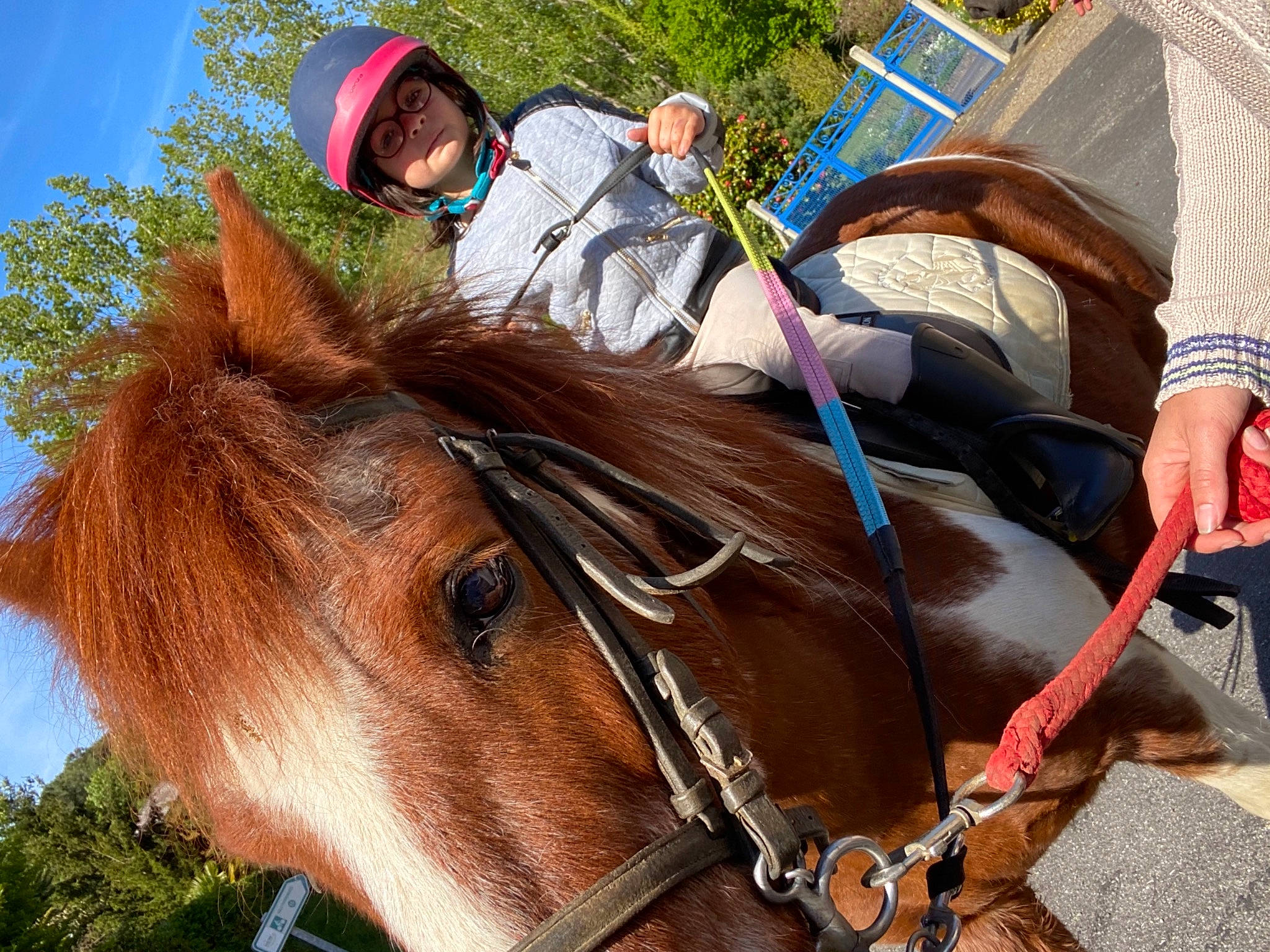 Miya a rejoint le concours — aidez-le/la à gagner de superbes lots ! bit, bridle, equestrian_sport, equestrianism, headwear, helmet, horse, horse_supplies, horse_tack, liver, mane, outdoor_recreation, pack_animal, person, recreation, rein, saddle, sky, snout, sorrel