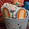 Remmi joined the competition — help win amazing prizes! baby, sleeping, pacifier, basket, woven_basket, bunny_ears, cozy, infant, cute, soft_clothing, blue_outfit, indoor, sleep, child, adorable, resting, close_up, toddler, home, peaceful