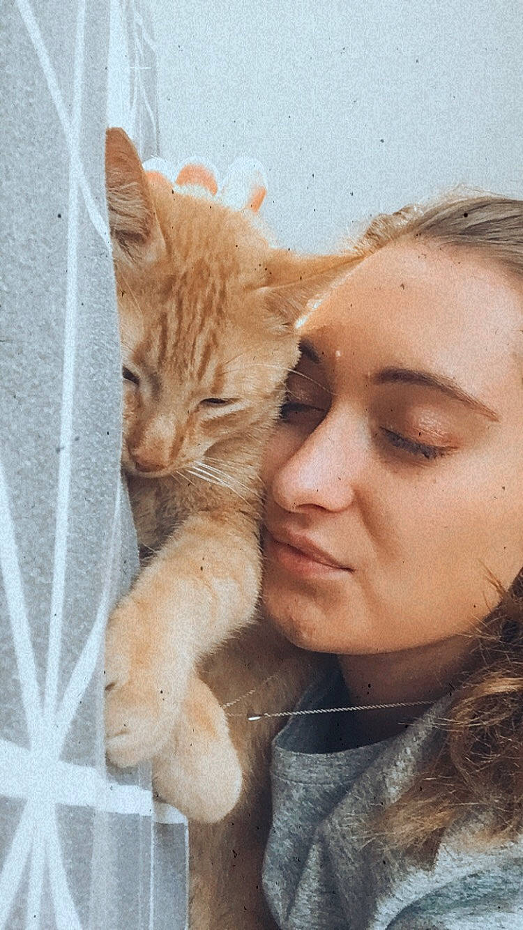 Bretzel a rejoint le concours — aidez-le/la à gagner de superbes lots ! blond, brown_hair, carnivore, cat, claw, domestic_short_haired_cat, eyelash, fawn, felidae, fur, mammal, paw, peach, pet_supply, selfie, skin, small_to_medium_sized_cats, snout, vertebrate, whiskers