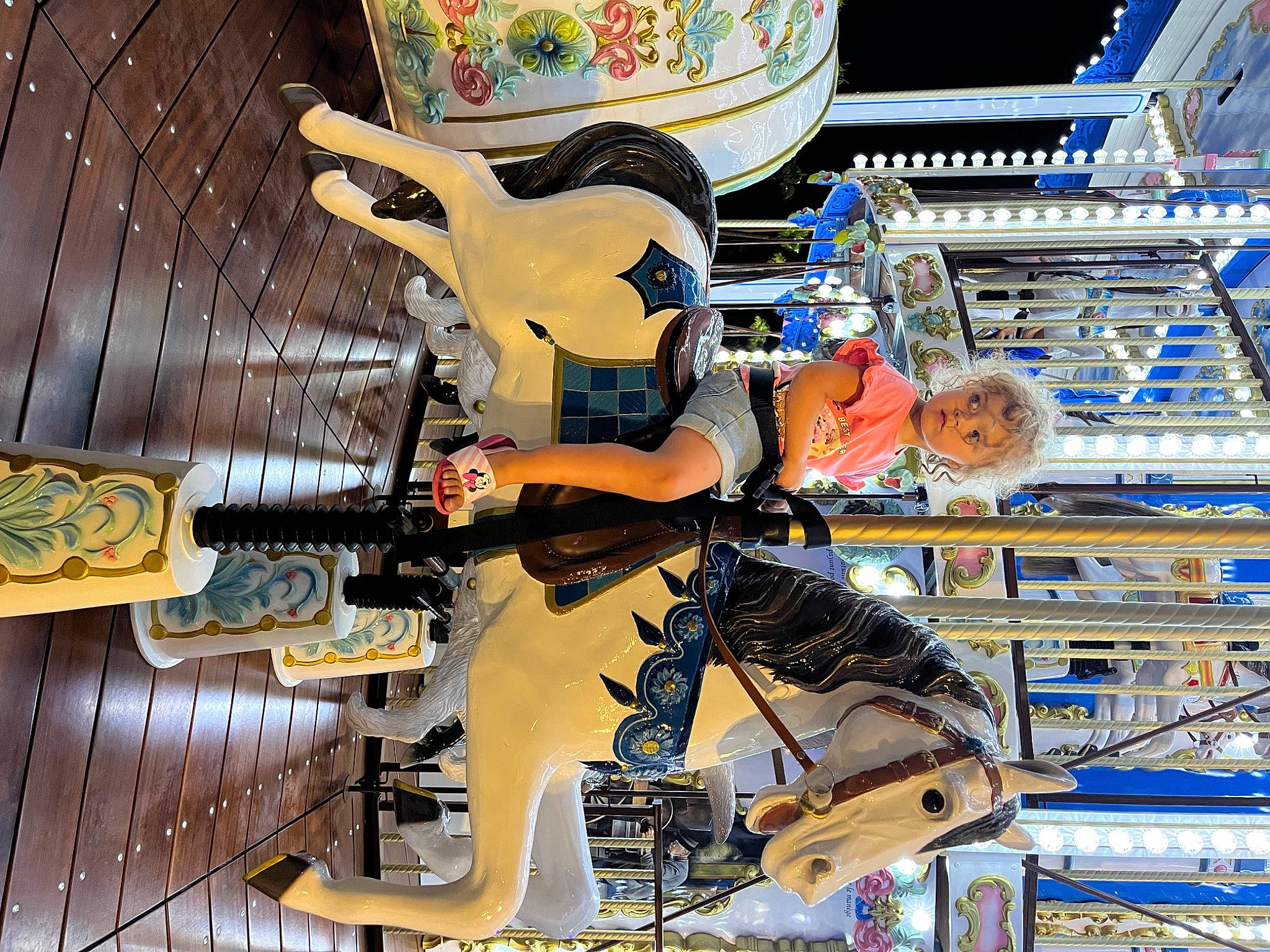 Melia participe au concours pour gagner de l'argent avec cette photo : art, bird, engineering, event, fun, leisure, machine, metal, person, recreation, retail, space, toy