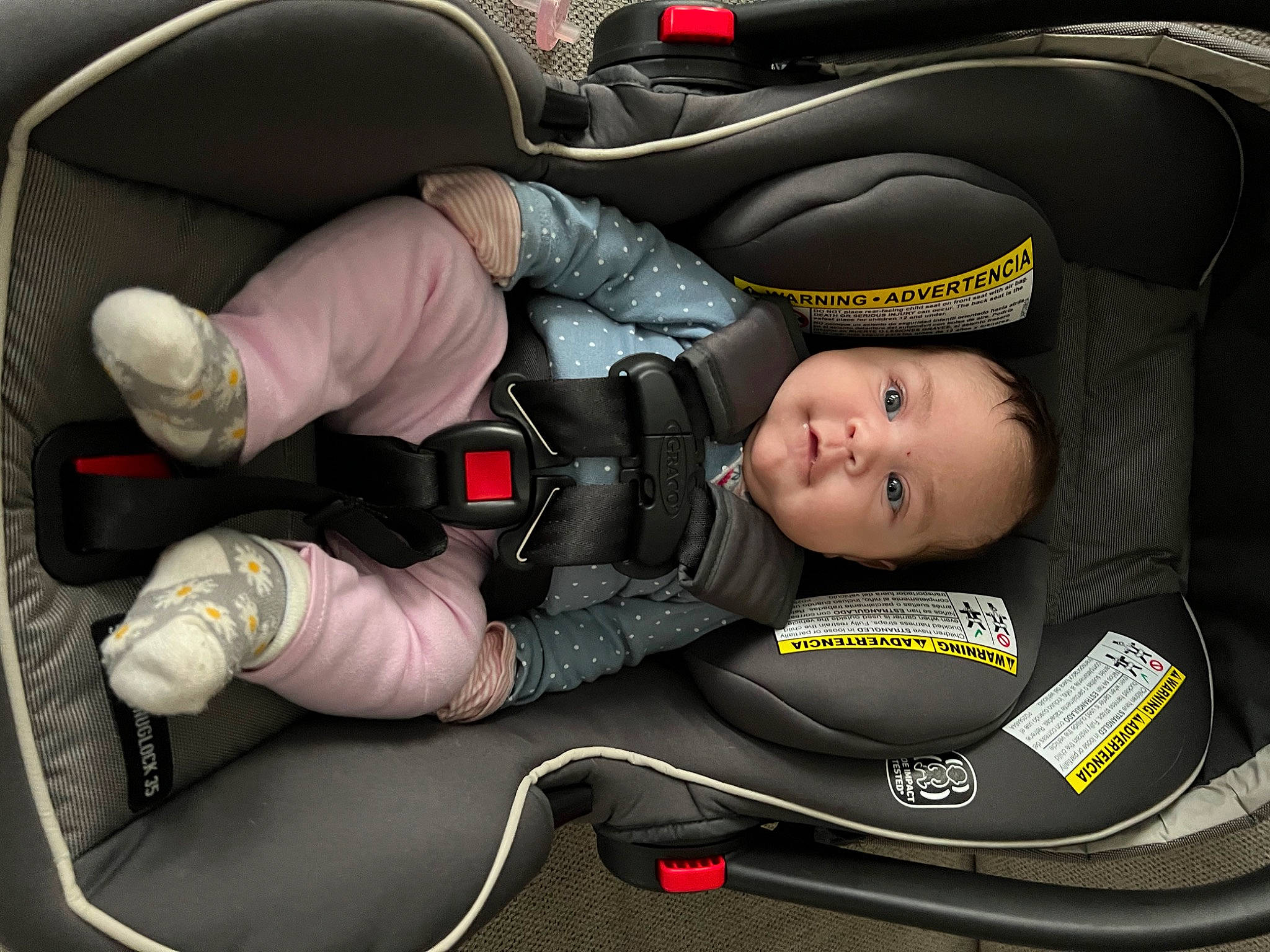 Londyn joined the competition — help win amazing prizes! auto_part, automotive_design, automotive_exterior, automotive_tire, baby, baby_carriage, baby_in_car_seat, car, car_seat, car_seat_cover, child, comfort, mode_of_transport, motor_vehicle, person, smile, steering_part, steering_wheel, toddler, vehicle