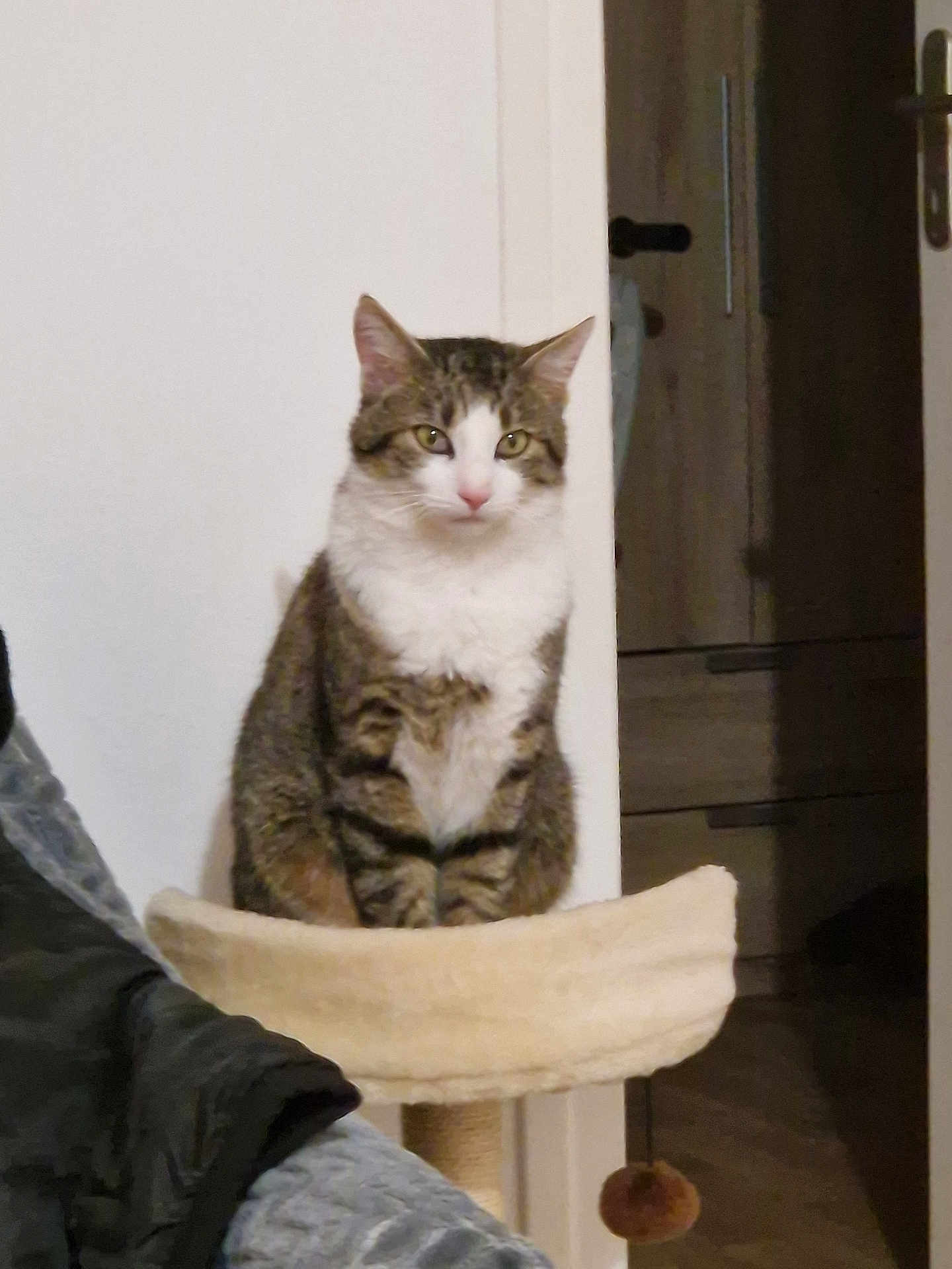 Prince