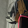 cat, backpack, transparent, bubble, indoor, coat, hanger, black_and_white, pet, curious, wall, hook, led_light, red_light, storage, feline, animal, curiosity, resting, home