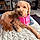 Adley