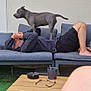dog, man, couch, outdoor, relaxing, gray_dog, shorts, glasses, ashtray, cup, table, grass, wall, playful, resting, casual, furniture, barefoot, headwear, leisure