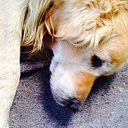 Samy participe au concours pour gagner de l'argent avec cette photo :