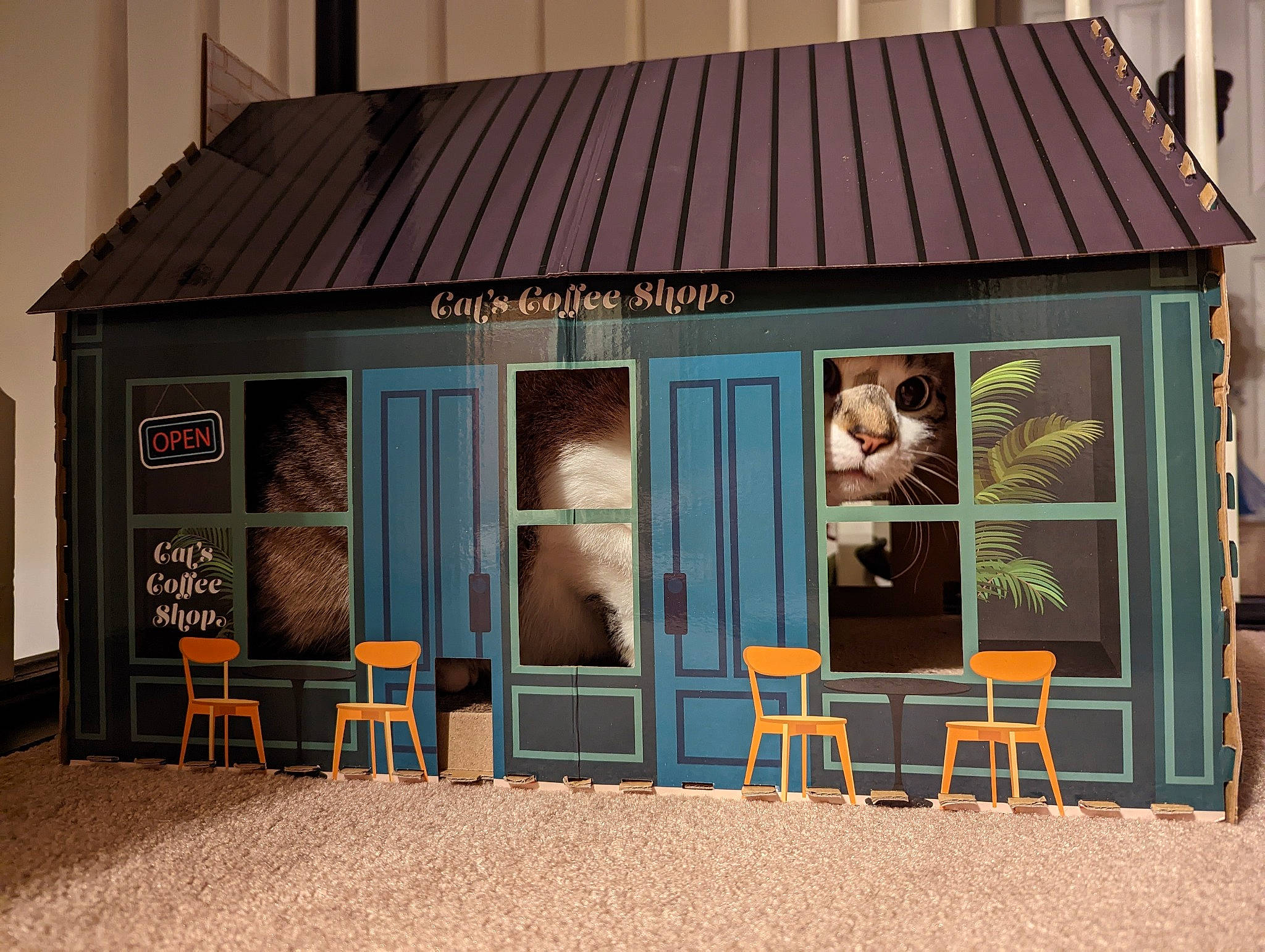 Goose is registered to the contest to win money with this photo: building, chair, cottage, facade, furniture, home, house, leisure, outdoor_furniture, outdoor_table, property, real_estate, roof, room, shade, shed, siding, table, window, wood