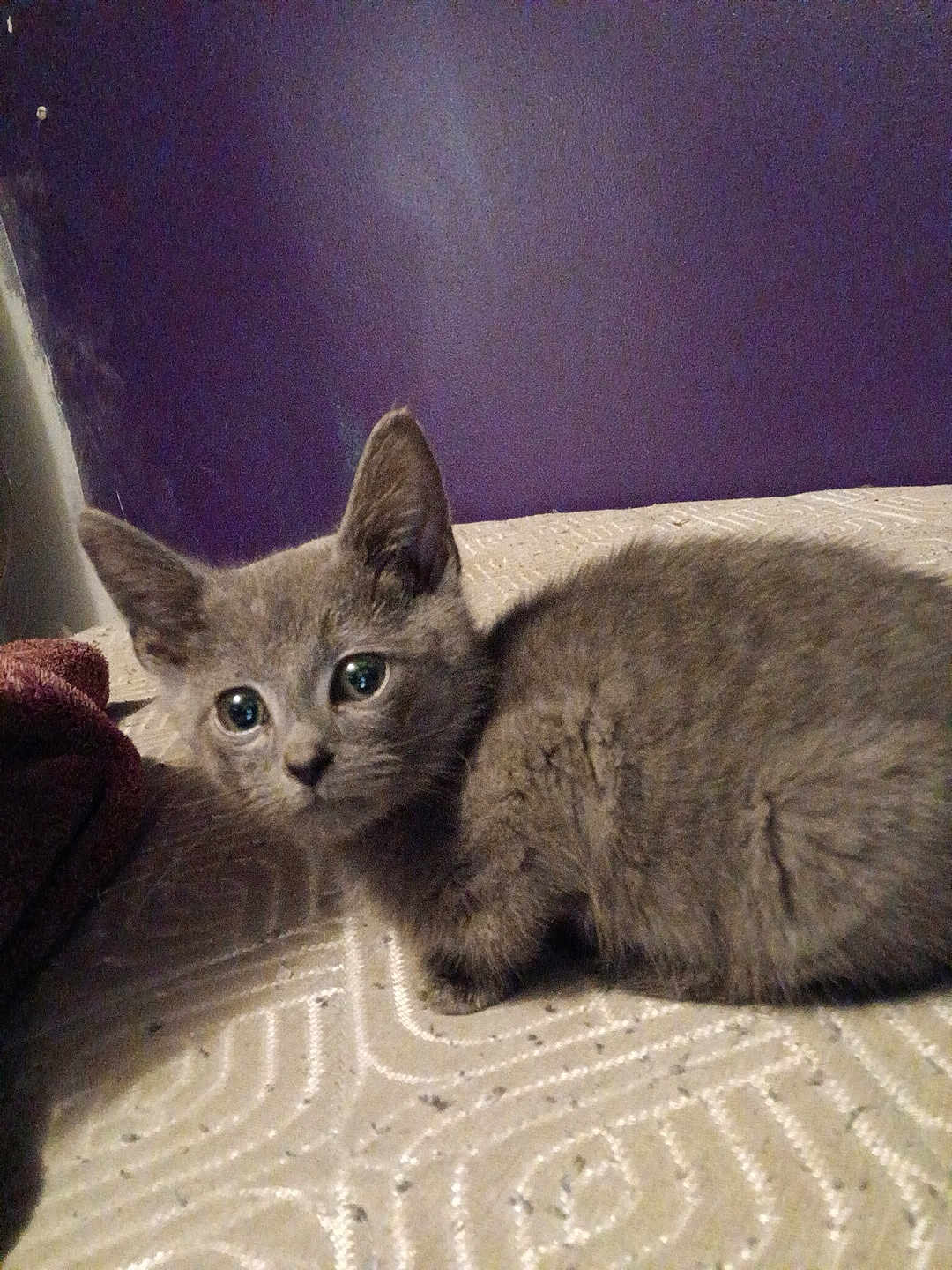 Ash