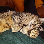 Dior participe au concours pour gagner de l'argent avec cette photo :