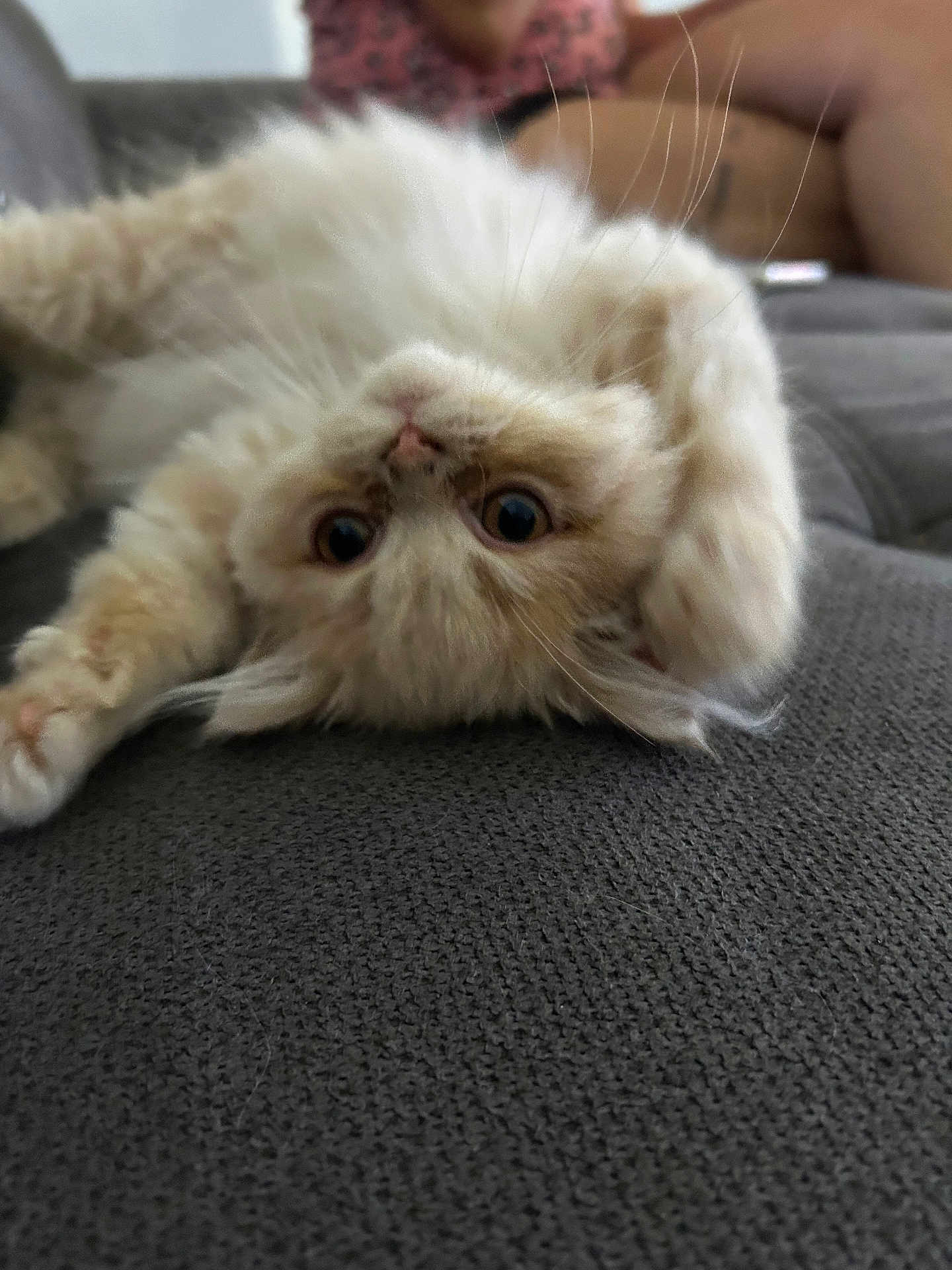 Aiko