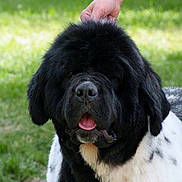 Hope a rejoint le concours — aidez-le/la à gagner de superbes lots !