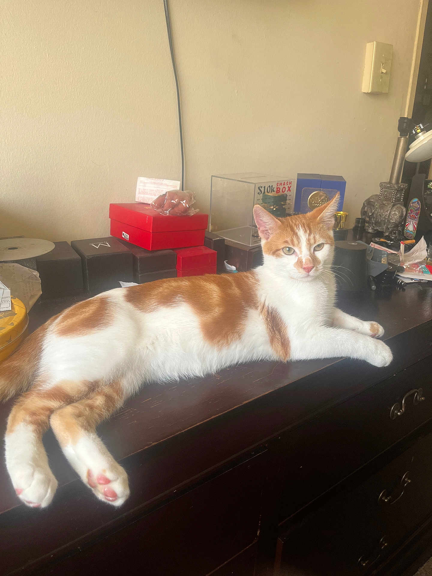 Ronin is registered to the contest to win money with this photo: cat, orange_and_white, feline, lounging, dresser, wooden_furniture, indoor, relaxed, pet, curious, clutter, boxes, tabletop, domestic, animal, whiskers, ears, paws, eyes, fur