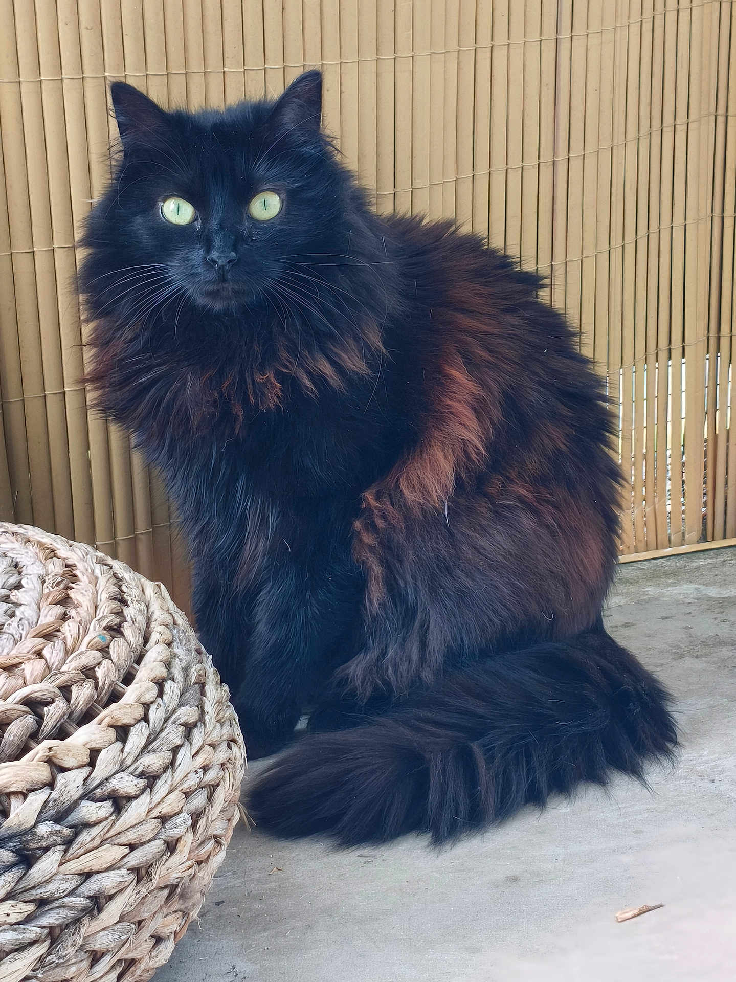Onyx