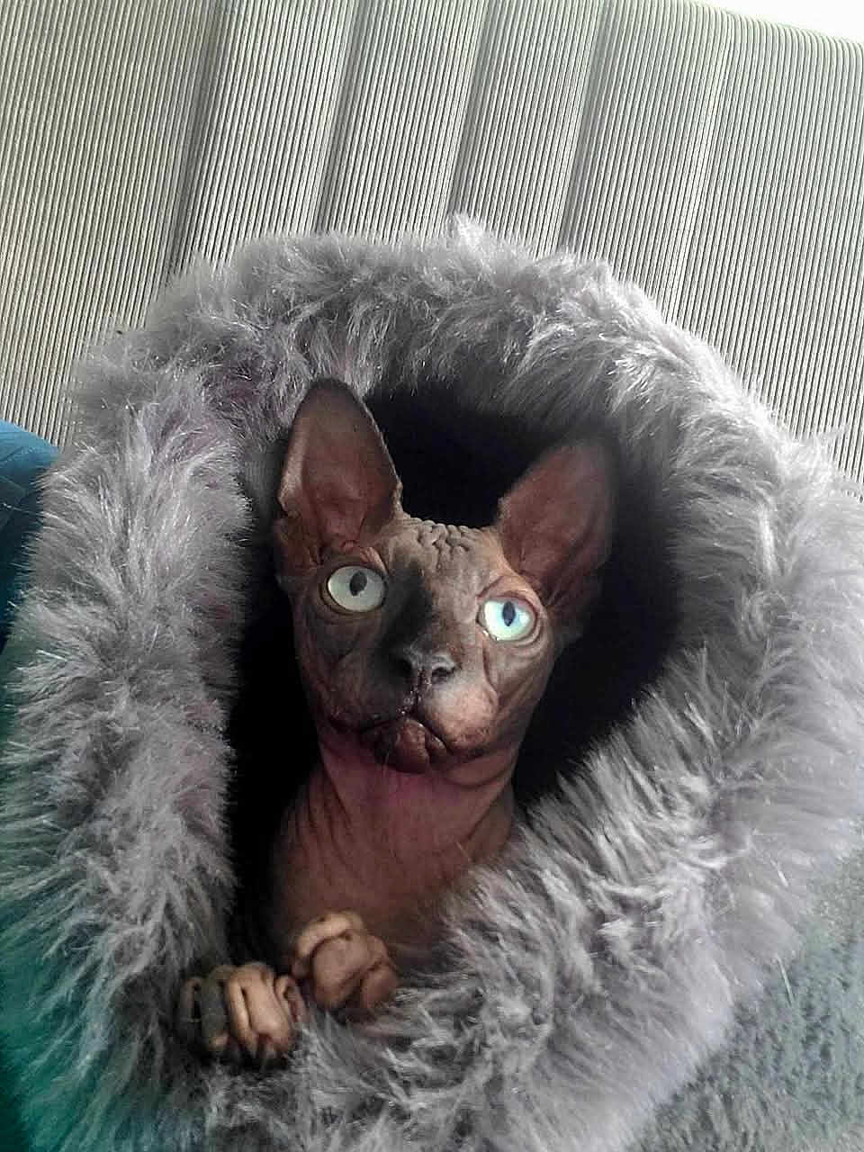 Ukko