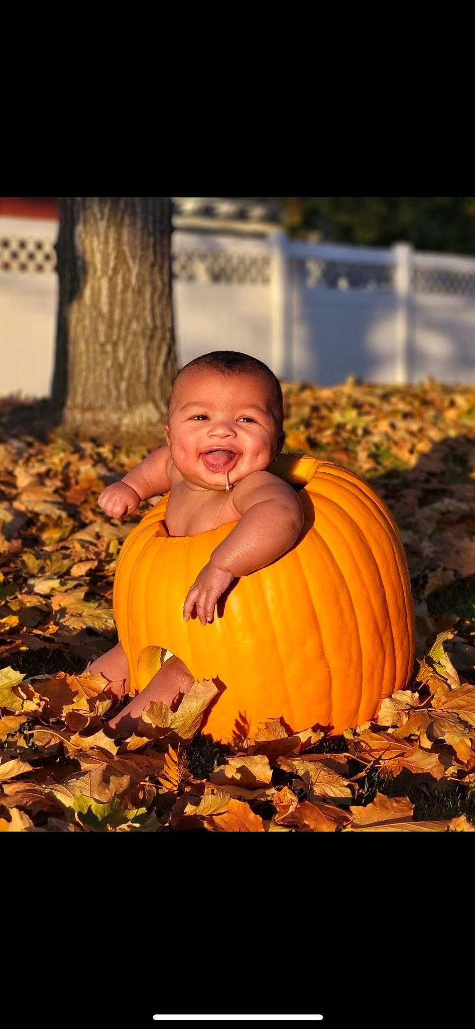 Dawson joined the competition — help win amazing prizes! arm, calabaza, cucurbita, dress, face, fruit, gourd, grass, hand, happy, human_body, natural_foods, people_in_nature, person, plant, pumpkin, smile, squash, tree, winter_squash