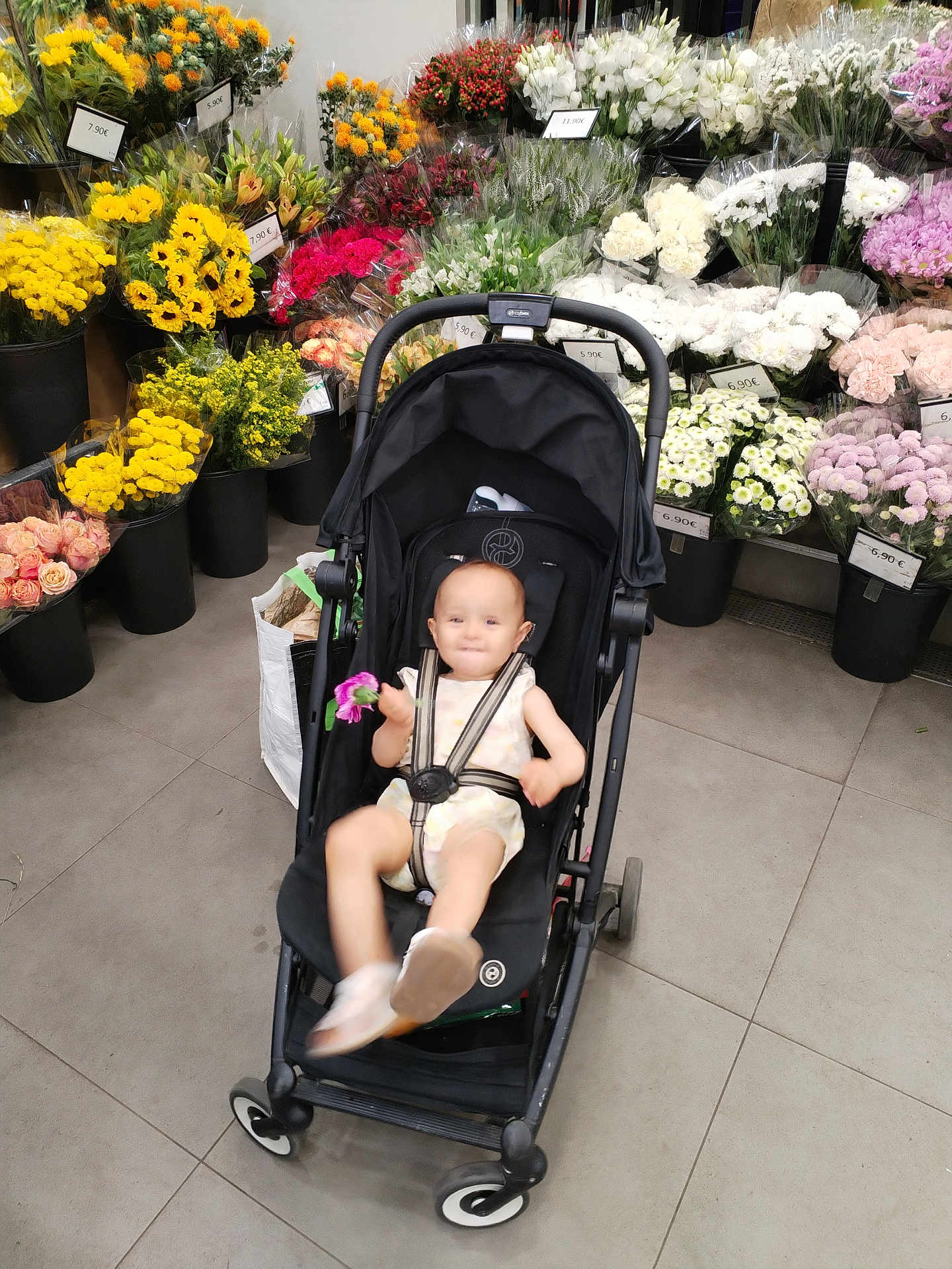 Emma a rejoint le concours — aidez-le/la à gagner de superbes lots ! baby, stroller, flower, flower_shop, bouquet, colorful, indoor, tile_floor, baby_clothing, baby_shoes, child, plant, pot, shopping, retail, vibrant, cute, young_child, smiling, person