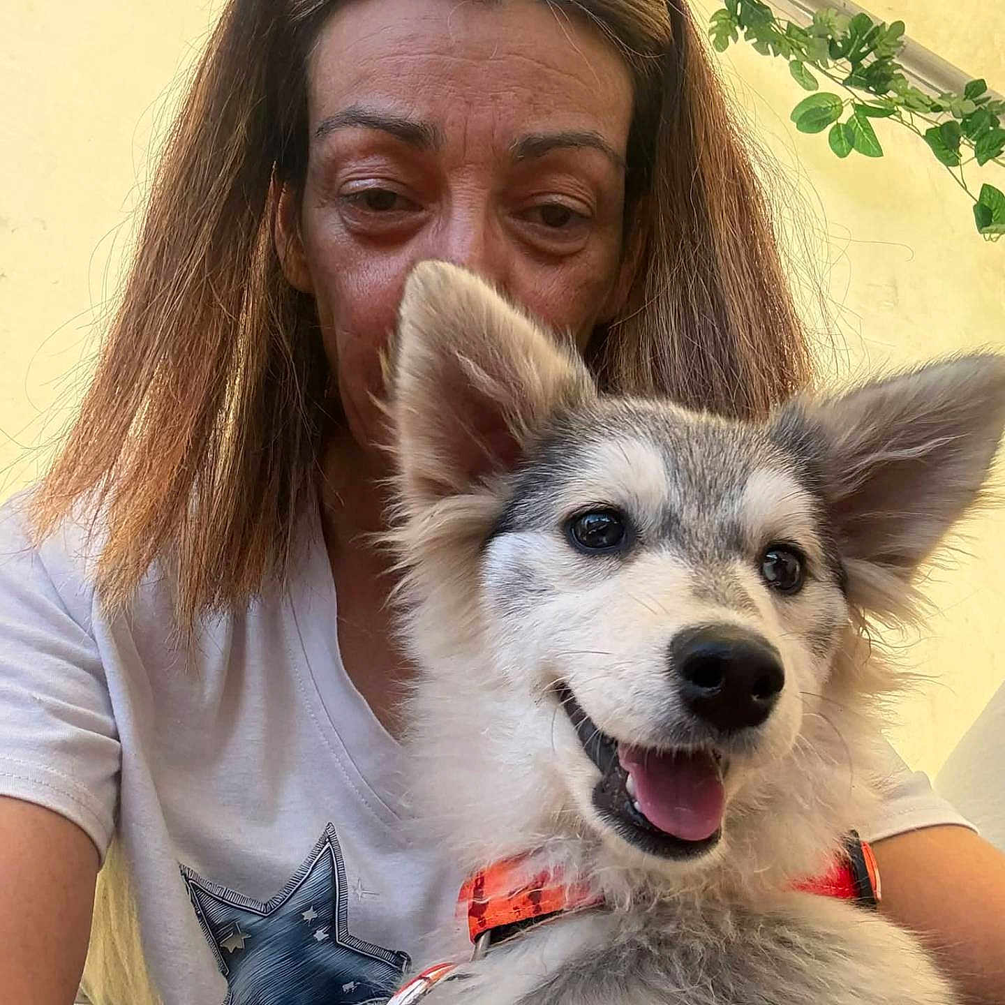 Bella