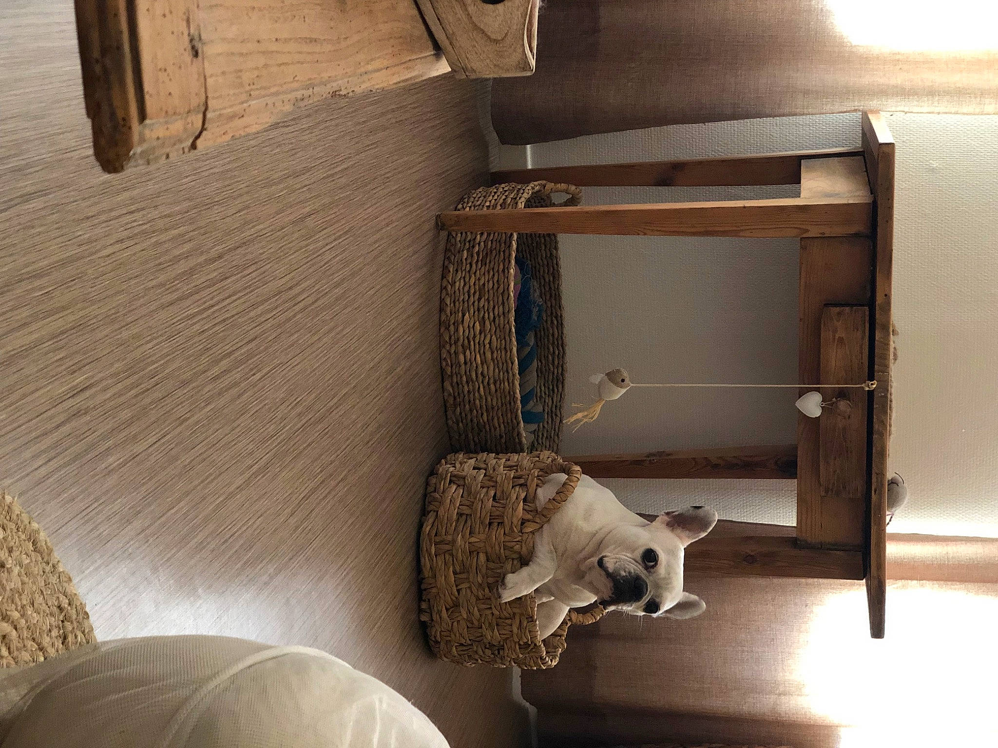 Ganja participe au concours pour gagner de l'argent avec cette photo : bed_frame, cabinetry, chest_of_drawers, comfort, drawer, floor, flooring, furniture, hardwood, house, interior_design, light, living_room, nightstand, room, shelf, shelving, table, white, wood