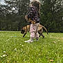 animal, casual_clothing, child, cloudy_sky, daytime, dog, field, flowers, footwear, grass, greenery, leaves, nature, outdoor, park, pet, playing, summer, trees, young_child
