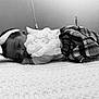 baby, infant, headband, bow, plaid_skirt, white_top, blanket, lying_down, black_and_white, portrait, cute, child, soft_texture, indoors, resting, newborn, close_up, face, sleepy, peaceful