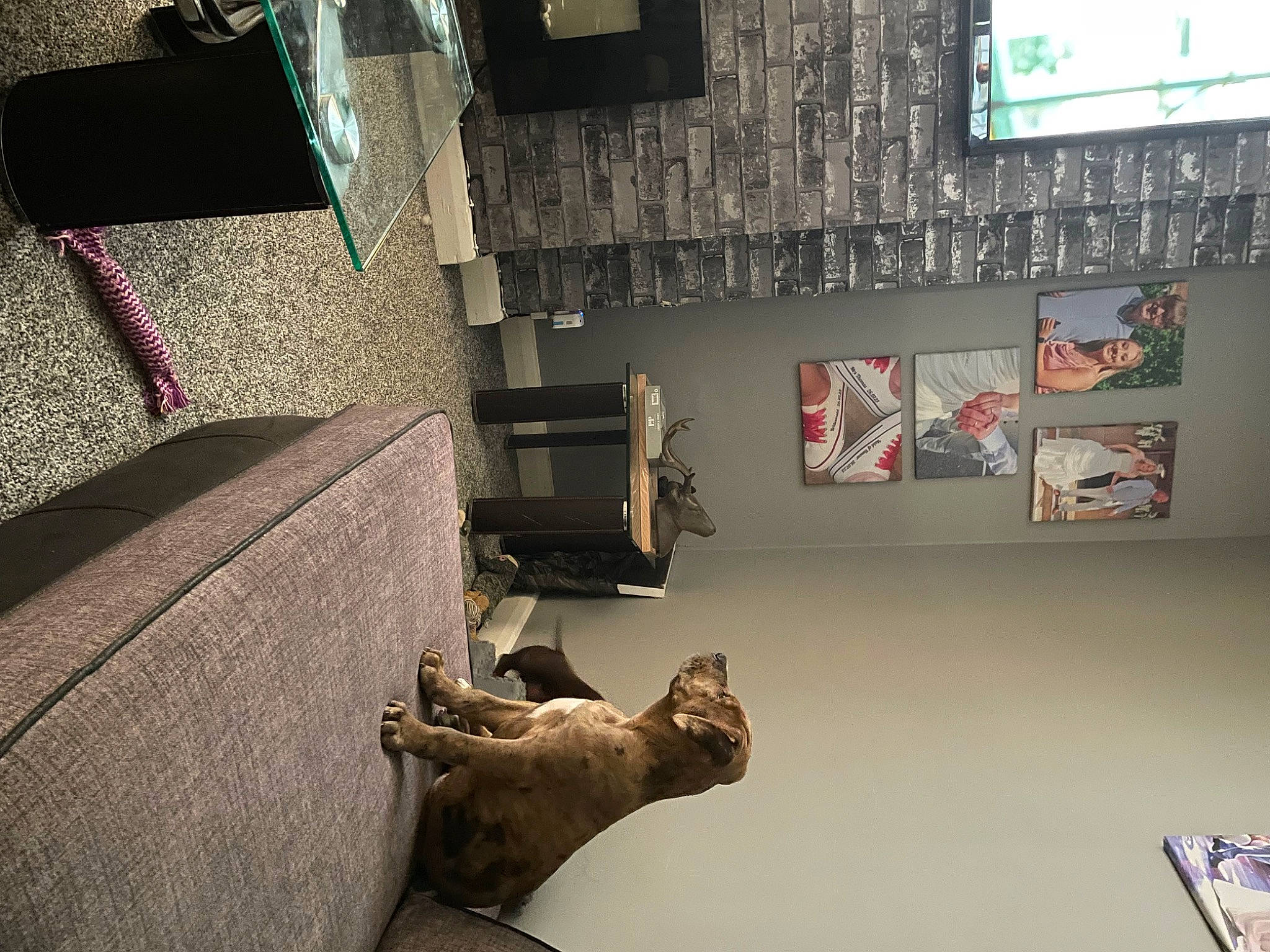 Layla is registered to the contest to win money with this photo: art, building, ceiling, comfort, floor, flooring, grey, hardwood, house, interior_design, living_room, room, sculpture, shelf, shelving, space, tints_and_shades, visual_arts, wall, wood