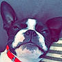 Lou participe au concours pour gagner de l'argent avec cette photo :