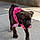Sadie