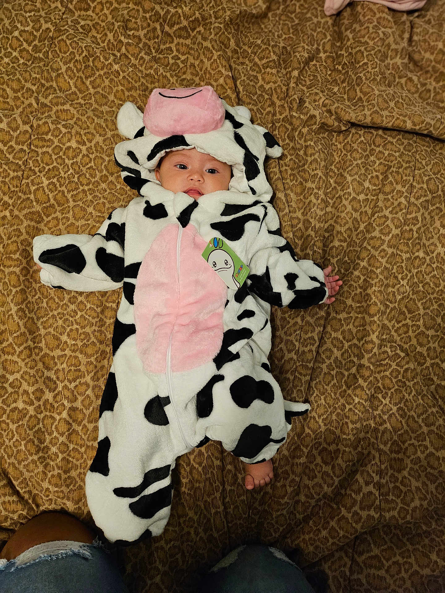 Alaina joined the competition — help win amazing prizes! baby, cow_costume, infant, blanket, leopard_print, foot, cute, lying_down, costume, animal_print, indoor, person, child, soft_texture, plush, hooded_outfit, black_and_white, pink, clothing, portrait