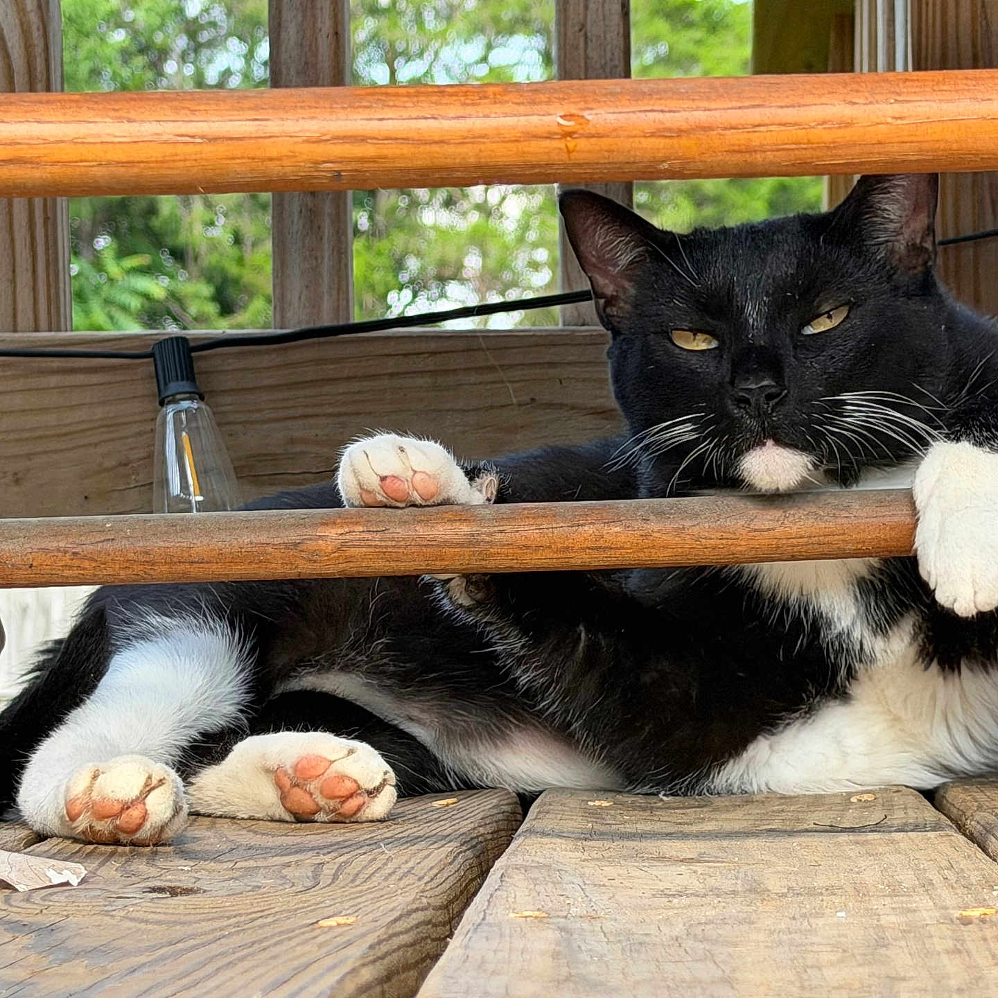 Salem