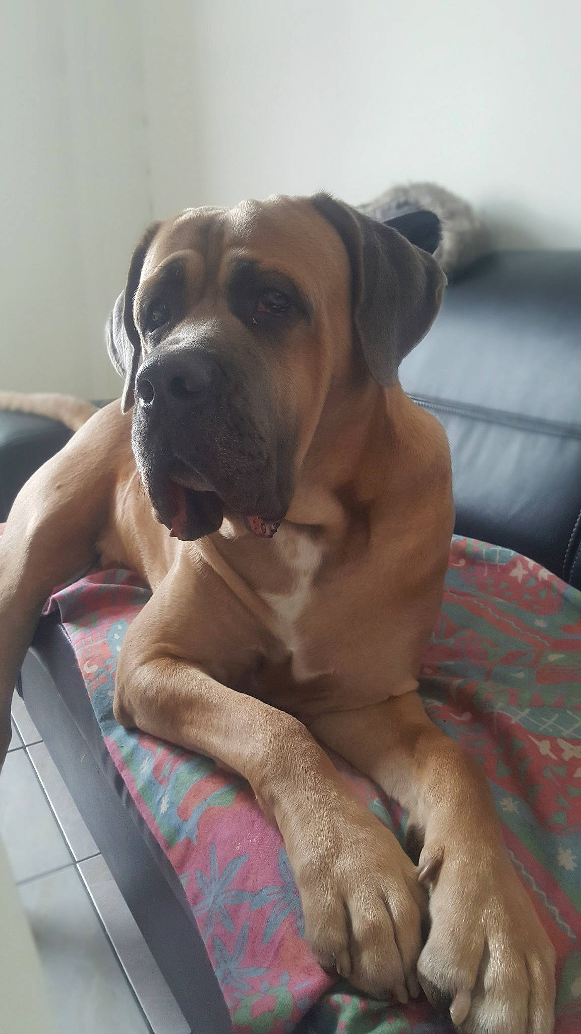 Marley
