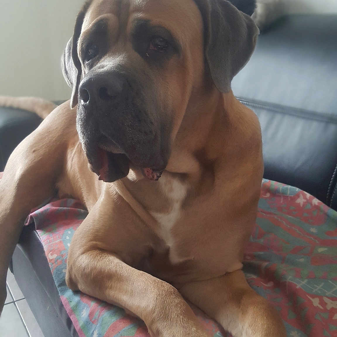 Marley