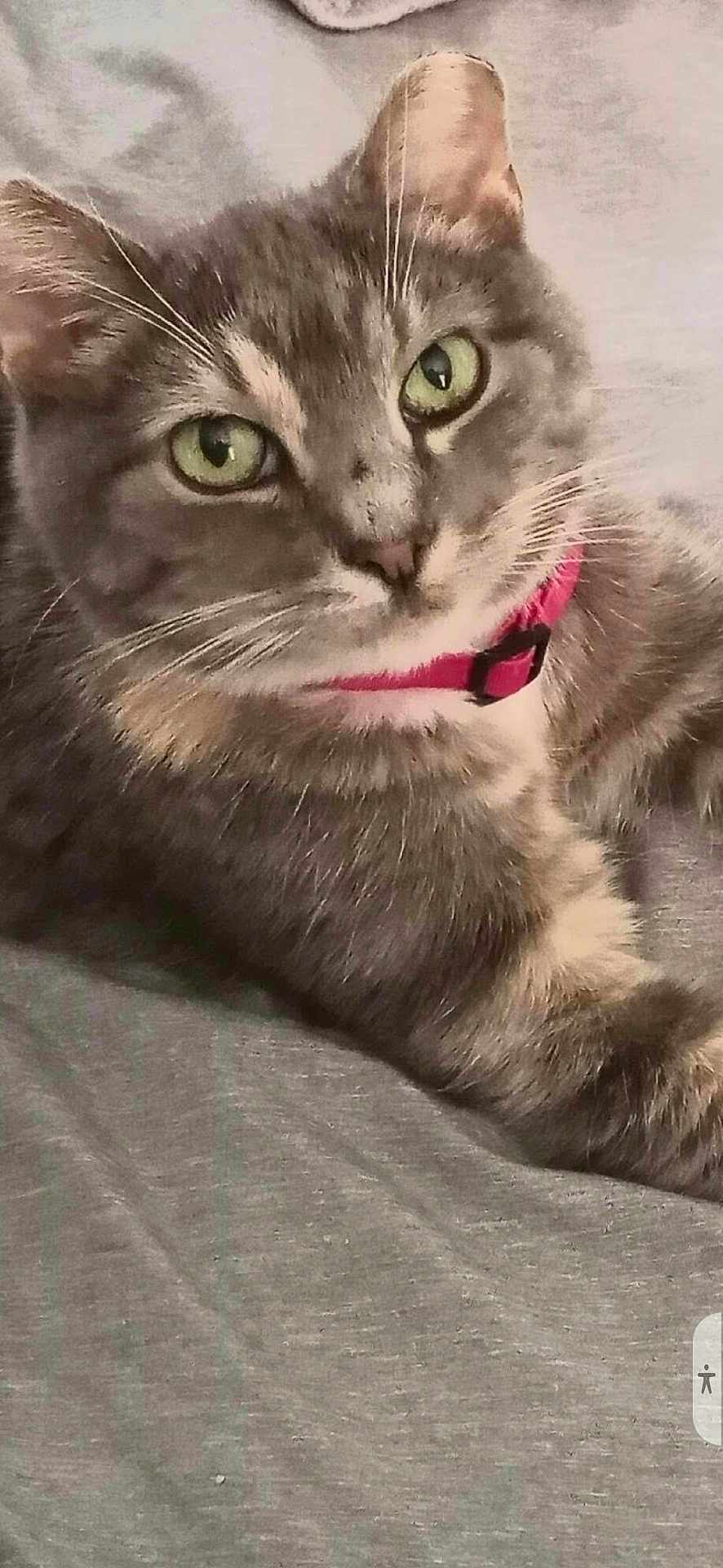 Nena